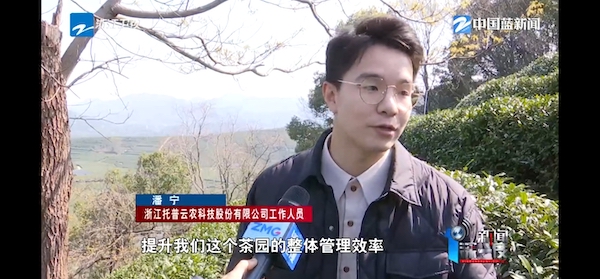 春茶開采正當時！揭秘托普云農如何用科技“制”出一杯數字好茶